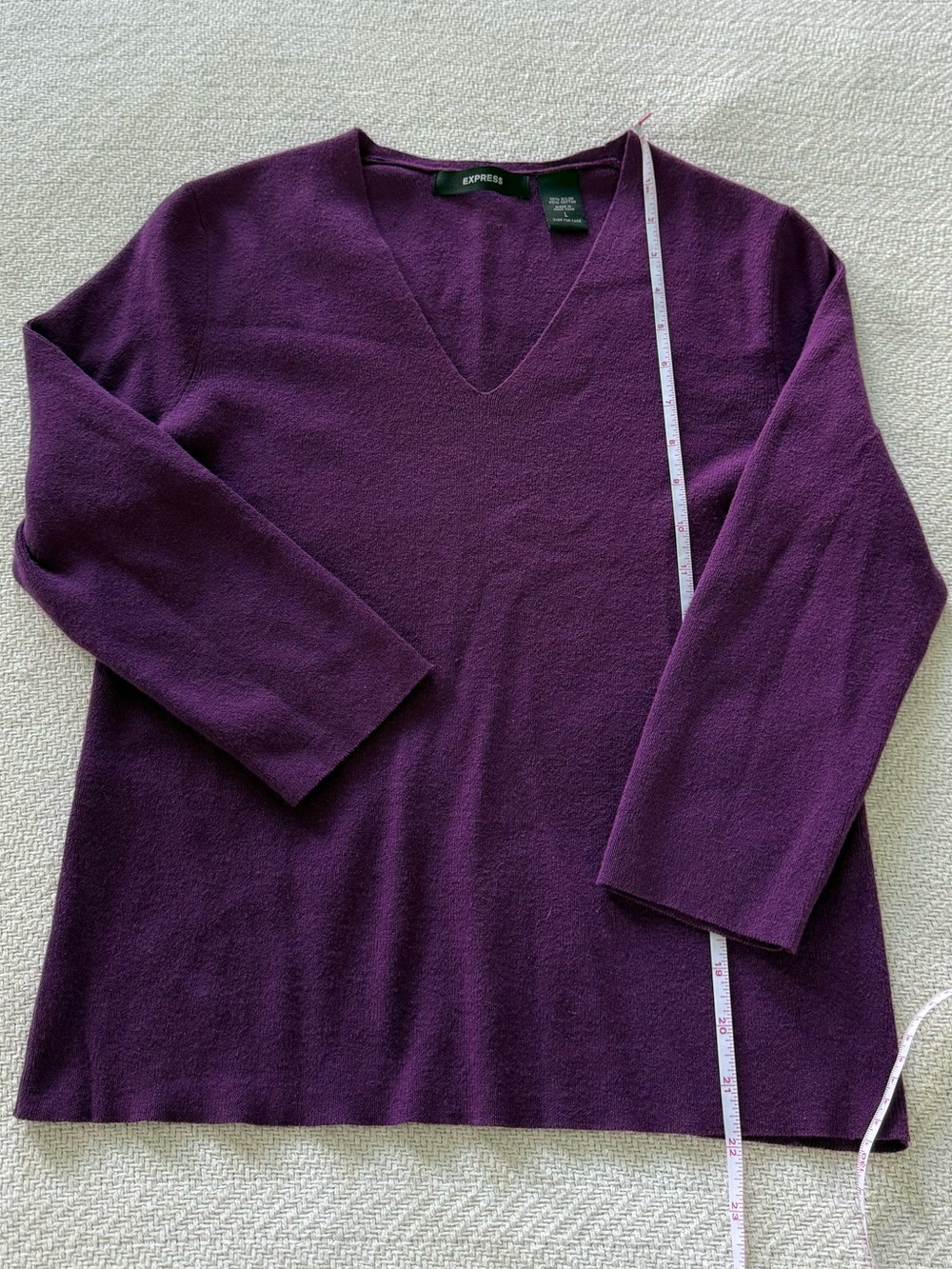 Express V-Neck Sweater in Plum Purple